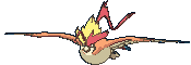 Pidgeot Mega (Mega) icon